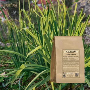Lemongrass aerial part powder – Cymbopogon citratus | Apophycaire