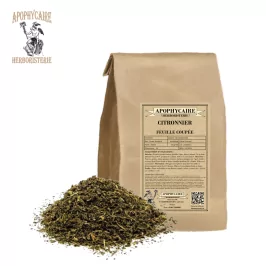 Zitronenbaum mit geschnittenen Blättern – Citrus limonum | Apophycarius