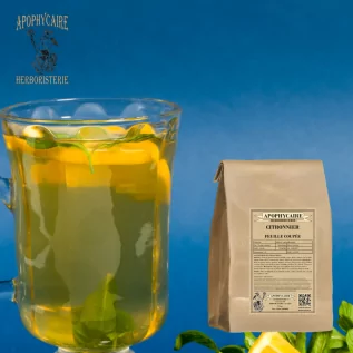 Kesik yapraklı limon ağacı – Citrus limonum | Apophycarius