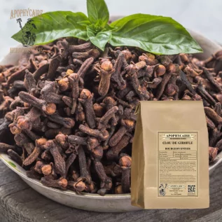 Gevşek karanfil (Eugenia caryophyllata) - Apophycaire