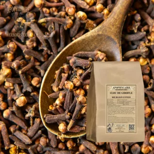 tisane Clou de girofle - Apophycaire