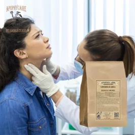 Cochléaria feuille coupée (Cochlearia officinalis) - Apophycaire