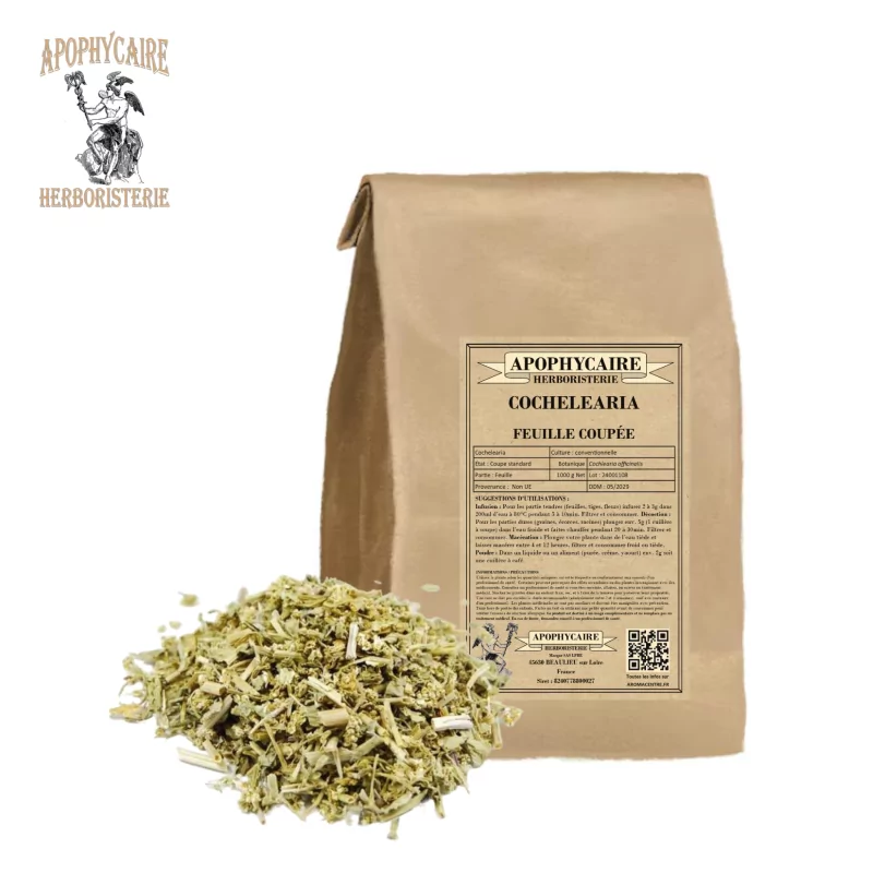 Cochlearia officinalis - Apophycaire