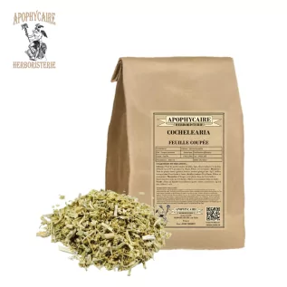 Cochlearia officinalis | Apothecary