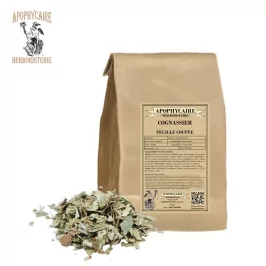 Schnittquitte – Cydonia vulgaris | Apophycarius