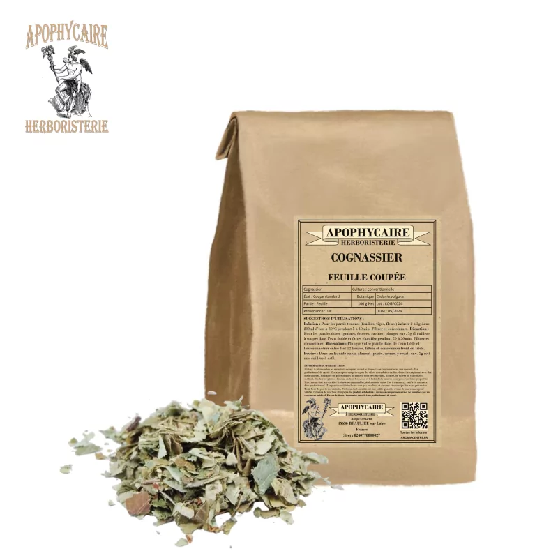 Cognassier feuille coupée (Cydonia vulgaris) - Apophycaire