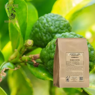 Kaffir lime peel cut – Citrus hystrix | Apophycaire