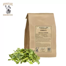 Gevşek Kaffir limonu yaprakları – Citrus hystrix | Apophycarius