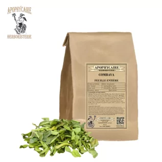 Hojas sueltas de lima kaffir – Citrus hystrix | Apophycarius