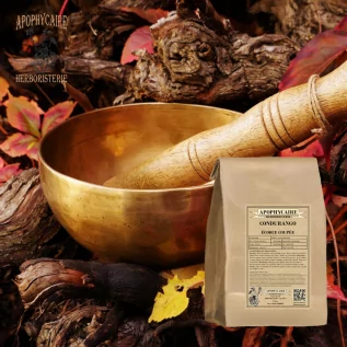 Corteza cortada de Condurango – Gonolobus condurango | Apophycarius