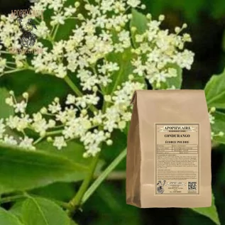 Condurango bark powder – Gonolobus condurango | Apothecary