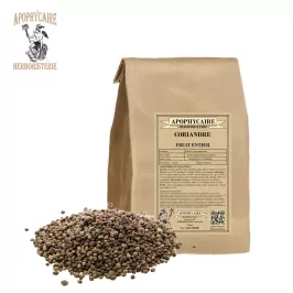 Coriander fruit in bulk – Coriandrum sativum | Apophycaire