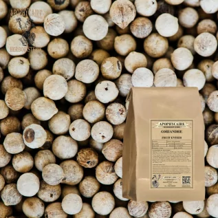 Kişniş meyvesi – Coriandrum sativum | Apophycarius