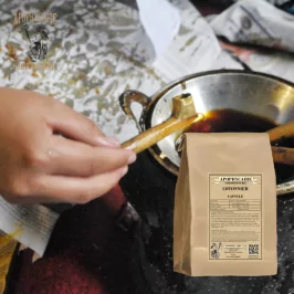 Kapsül - pamuk baklası (Gossypium SSP) - Apophycaire