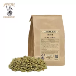 Pumpkin Seed – Cucurbita pepo | Apophycaire