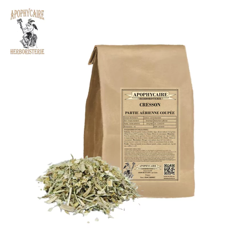 Cresson de fontaine coupée (Nasturtium officinale) - Apophycaire