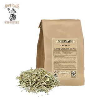 Watercress, aerial part cut – Nasturtium officinale | Apophycaire