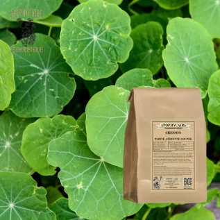 Brunnenkresse, oberirdischer Teil geschnitten – Nasturtium officinale | Apophycarius