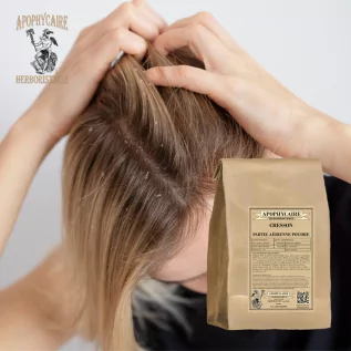 Polvo de berro – Nasturtium officinale | Apophycarius