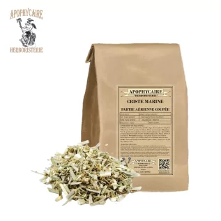 Criste marine partie aérienne coupée (Crithmum maritimum) - Apophycaire