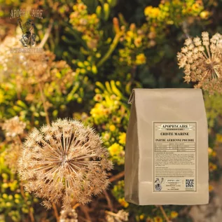 Powdered fennel – Crithmum maritimum | Apophycaire