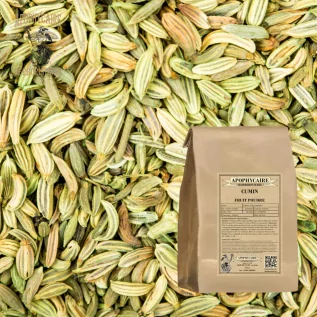 Cumin fruit powder – Cuminum cyminum | Apophycaire