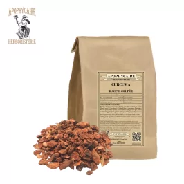 Raíz de cúrcuma cortada – Curcuma longa | Apophycarius