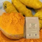 Turmeric root powder (Curcuma longa) - Apophycaire