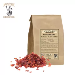 Rosehip berry without cut seeds – Rosa canina | Apophycaire