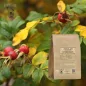 Hagebuttenbeeren ohne geschnittenen Samen (Rosa canina) - Apophycaire
