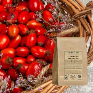 Rosehip loose seeds – Rosa canina | Apophycaire