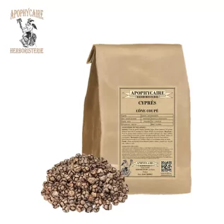 Ciprés de cono cortado – Cupressus sempervirens | Apophycaire