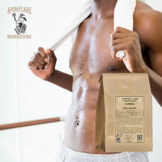 Cyprès cône poudre (Cupressus sempervirens) - Apophycaire