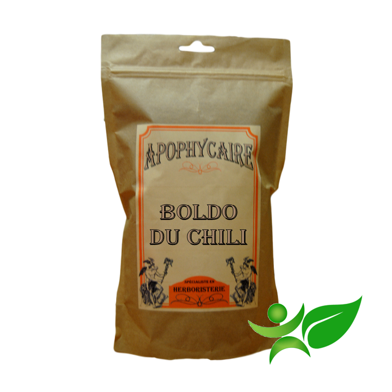 BOLDO DU CHILI BiO, Feuille coupée (Peumus boldus) - Apophycaire