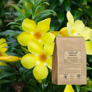 Damiana cut leaf – Turnera aphrodisiaca | Apothecary
