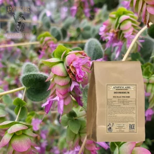 Polvo de hojas de desmodio – Desmodium adscendens | Apophycarius