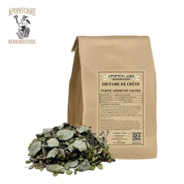 Cretan dittany, cut aerial part – Origanum dictamnus | Apophycaire