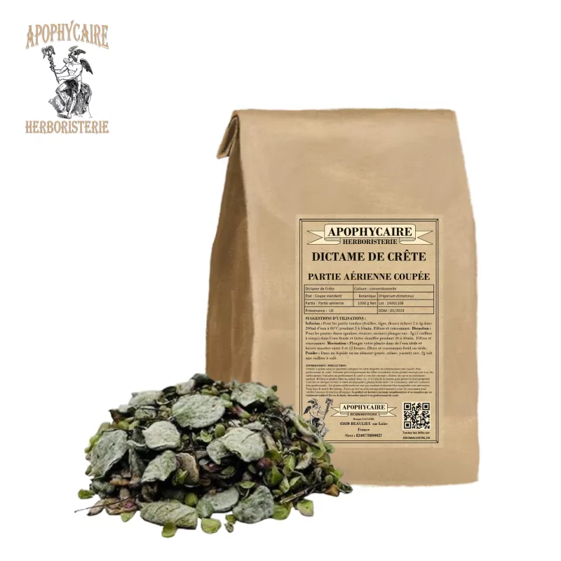 Dictame de Crête coupée (Origanum dictamnus) - Apophycaire