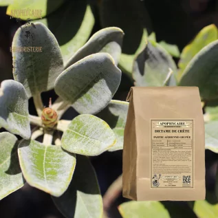 tisane Dictame de Crête (Origanum dictamnus) - Apophycaire