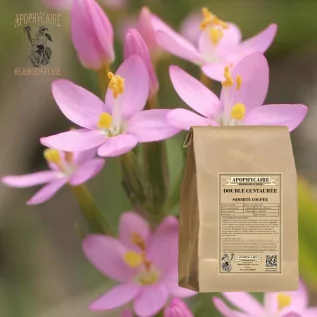 Tisane Double Centaurée (Erythraea suffruticosa) - Apophycaire