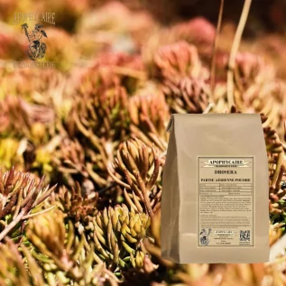 Sundew powder – Drosera longifolia | Apophycaire