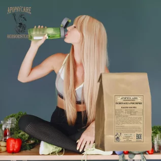 Echinacée racine coupée (Echinacea Purpurea) - Apophycaire