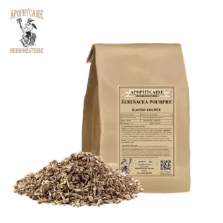 Purple coneflower cut root – Echinacea purpurea | Apophycaire
