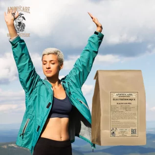 Eleutherococcus kök kesimi – Eleutherococcus senticosus | Apophycarius