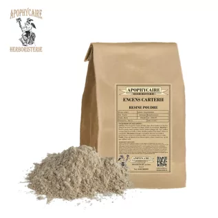 Frankincense Carterii Powder – Boswellia carterii | Apophycaire