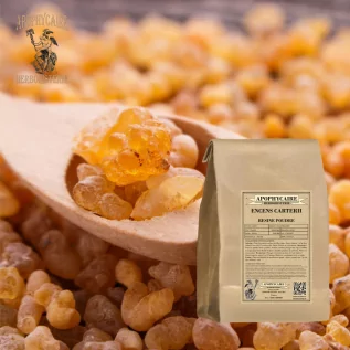 Polvo de incienso Carterii – Boswellia carterii | Apophycarius