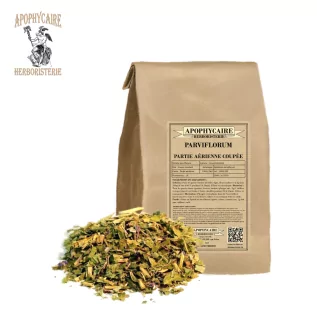 Willowherb parviflorum aerial part cut – Epilobium parviflorum | Apophycaire