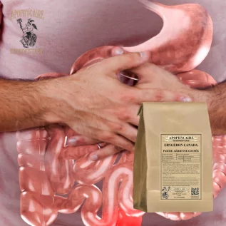 Kanadisches Erygeron, abgeschnittener oberirdischer Teil – Erigeron canadensis | Apophycarius