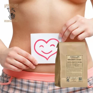 Canadian Erygeron aerial part powder (Erigeron canadensis) - Apophycaire