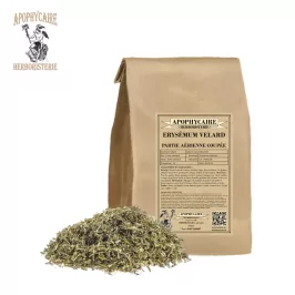 Erysimum velard aerial part cut – Sisymbrium officinale | Apophycaire